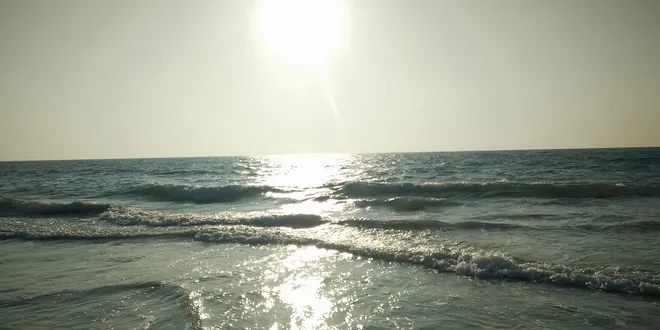 Parameters Python - Learn Data Science with Travis - your AI-powered tutor